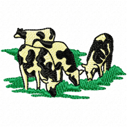 Cows Embroidery Design 6 Cows Embroidery Design 6